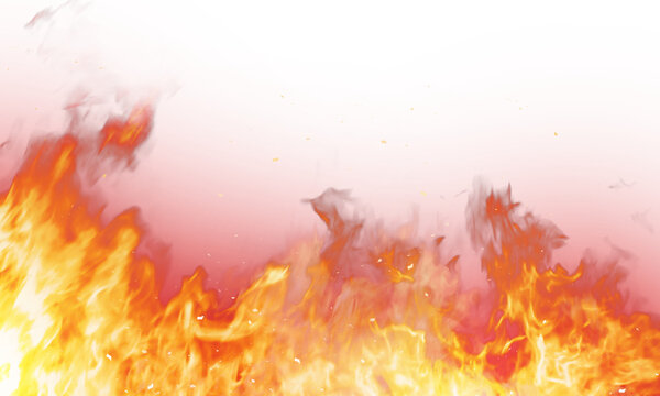 新NISA最短最速でfireを目指す
